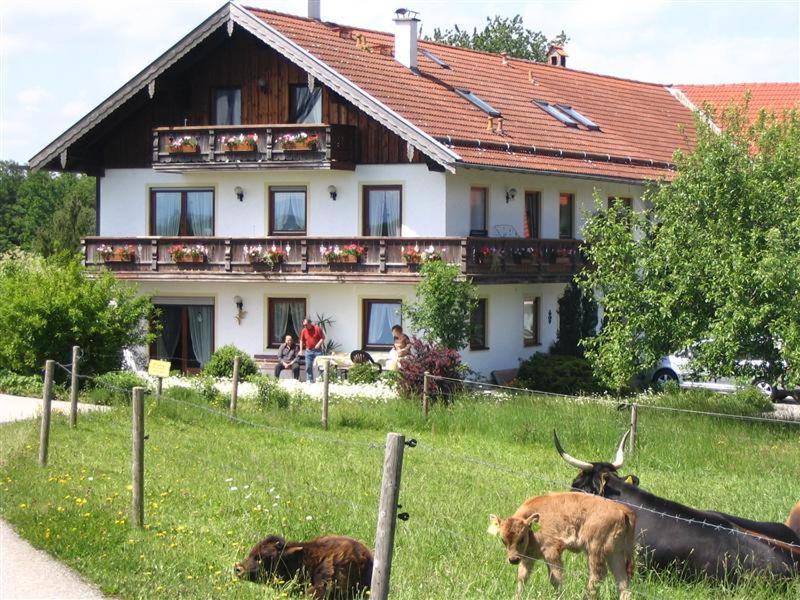 Beim Rieder Apartment Truchtlaching Exterior foto